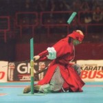 (Above photo taken in Paris, France, 2011 at the Paris-Bercy Martial arts Festival) (Above photo taken in Paris, France, 2011 at the Paris-Bercy Martial arts Festival)